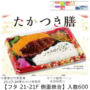 WΉٓe V 21-21F ʛƍW t^̂ P[X̔ 600 205×205×21mm   H OPS 80 {̓dqWOK Ɩp eCNAEg ٓ Hie 0744492 Г09000