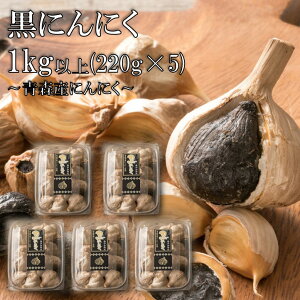 ɂɂ 1kg XY  󂠂 I 200g×5 Y ቷn Y