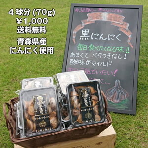 ɂɂ XY  nɂɂ o 70g (4) TCY Y ቷn ɂɂ zCgZ Y K[bN