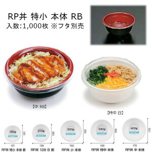 RP  RB {̂̂ P[X̔ 1000 TCY121×54mm  dqWs PSP X XpbN Ɩp eCNAEg Hie ٓ RLBF911