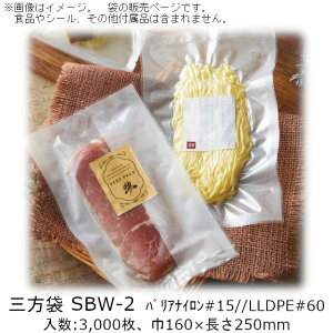 y@llzO SBW^Cv(_XgCv) SBW-2 P[X̔ 3000 160×250mm  x[pbN Ɩp ^ oA E_fܑΉ {C9530 Ⓚ-40 Hiۑ