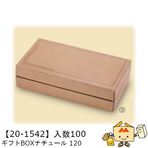 ylszH MtgBOXi`[ 120 i20-1542 P[X̔ 100 TCY240×120×65mm  }jpbP[W }j  Г02000701