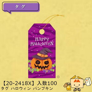 ylsznEB ^O nEB pvL i20-2418X ̔ 100 TCY30×60mm  }jpbP[W }j  St Г02000701