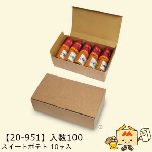 ylszH XC[g|eg 10 i20-951 P[X̔ 100 TCY225×125×71mm  }jpbP[W }j  _{[ Г02000701