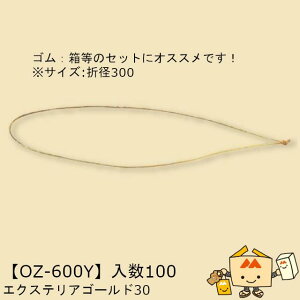 ylszH GNXeAS[h30 iOZ-600Y P[X̔ 100 TCY܌a300mm  }jpbP[W }j S