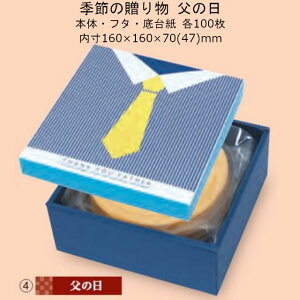 ylszG߂̑蕨 ̓ i19-486 P[X̔ 100Zbg TCY()160×160×70(47)mm  }jpbP[W }j  蕨 v[g {bNX `  j