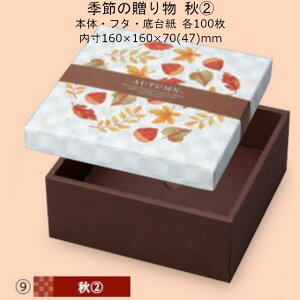 ylszG߂̑蕨 H(2) i19-494 P[X̔ 100Zbg TCY()160×160×70(47)mm  }jpbP[W }j  蕨 v[g {bNX `  j 