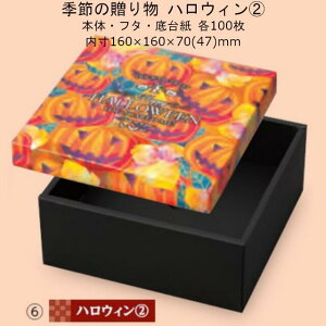 ylszG߂̑蕨 nEB(2) i19-495 P[X̔ 100Zbg TCY()160×160×70(47)mm  }jpbP[W }j  蕨 v[g {bNX ` 