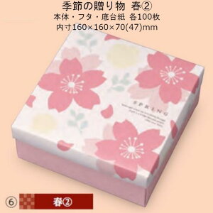 ylszG߂̑蕨 t(2) i19-497 P[X̔ 100Zbg TCY()160×160×70(47)mm  }jpbP[W }j  蕨 v[g {bNX `  j 