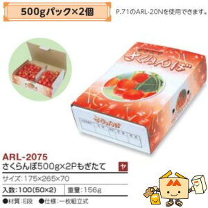 ylszt[c ڗp 500gpbN×2P iARL-2075 P[X̔ 100 TCY175×265×70mm  }jpbP[W }j  _{[ `F[ Г020007