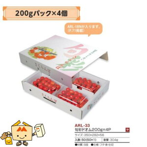 ylszt[c ڗp {ʃhI200g×4P iARL-33 P[X̔ 50 TCY350×282×56mm  }jpbP[W }j  _{[ `F[ Г02000701