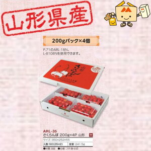 ylszt[c R`Yڗp 200g×4PR` iARL-35 P[X̔ 50 TCY350×252×55mm  }jpbP[W }j  _{[ `F[ Г02000701