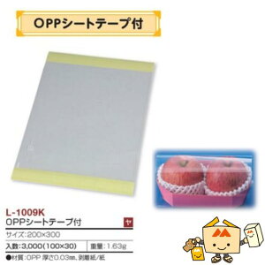 ylszt[c g[ OPPV[ge[vt iL-1009K P[X̔ 3000 TCY200×300mm  }jpbP[W }j Г0100080200260