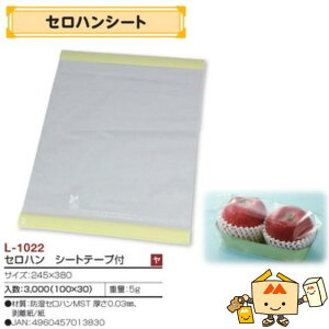 ylszt[c g[ ZnV[ge[vt iL-1022 P[X̔ 3000 TCY245×380mm  }jpbP[W }j Г010