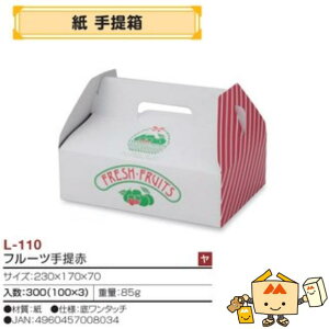 ylszt[c  t[c iL-110 P[X̔ 300 TCY230×170×70mm  }jpbP[W }j     ` Ԃǂ }XJbg pCibv 