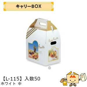 ylszt[c BOX L[BOX zCg  iL-115 P[X̔ 50 TCY265×175×285mm  }jpbP[W }j  _{[    ` Ԃǂ }XJb