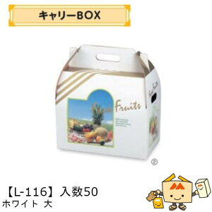 ylszt[c BOX L[BOX zCg  iL-116 P[X̔ 50 TCY330×190×285mm  }jpbP[W }j  _{[    ` Ԃǂ }XJb