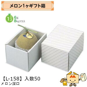 ylszt[c p [ iL-158 P[X̔ 50 TCY155×220×150mm  }jpbP[W }j  _{[ Г02000701