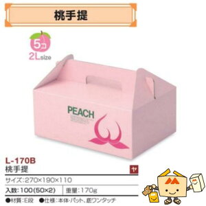 ylszt[c p  iL-170B P[X̔ 100 TCY270×190×110mm  }jpbP[W }j   _{[ Г0200070102910