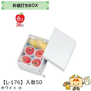 ylszt[c lBOX zCg  iL-176 P[X̔ 50 TCY190×270×100mm  }jpbP[W }j  _{[ S ь  IW  }S[ t[