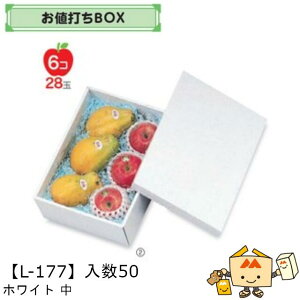 ylszt[c lBOX zCg  iL-177 P[X̔ 50 TCY230×330×100mm  }jpbP[W }j  _{[ S ь  IW  }S[ t[