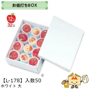 ylszt[c lBOX zCg  iL-178 P[X̔ 50 TCY280×390×95mm  }jpbP[W }j  _{[ S ь  IW  }S[ t[c