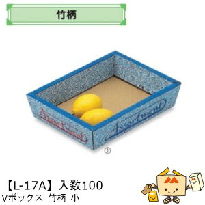 ylszt[c T[rXBOX VBOX |  iL-17A P[X̔ 100 TCY220×285×70mm  }jpbP[W }j  _{[ }S[ ݂ IW `  ь 