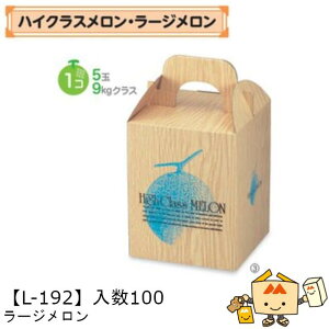 ylszt[c p [W iL-192 P[X̔ 100 TCY165×165×210mm  }jpbP[W }j  _{[ Г02000701