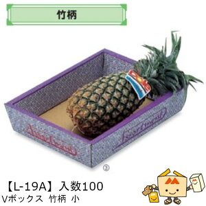 ylszt[c T[rXBOX VBOX |  iL-19A P[X̔ 100 TCY275×365×85mm  }jpbP[W }j  _{[ }S[ ݂ IW `  ь 