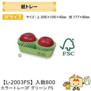 ylszt[c g[ J[g[3FO[FS iL-2003FS P[X̔ 800 TCY205×105×45mm  }jpbP[W }j _{[ FSCXєF؎    ` 