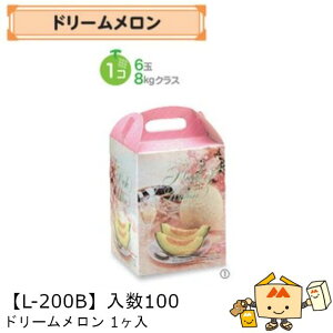 ylszt[c p h[1 iL-200B P[X̔ 100 TCY150×150×200mm  }jpbP[W }j  _{[ Г02000701