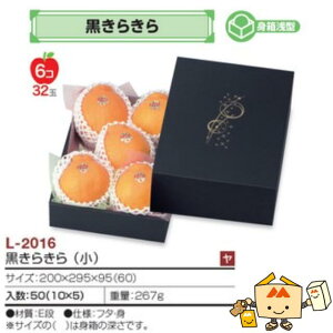 ylszt[c MtgBOX 炫  iL-2016 P[X̔ 50 TCY200×295×95(60)mm  }jpbP[W }j  _{[ t[clߍ킹 }S[  