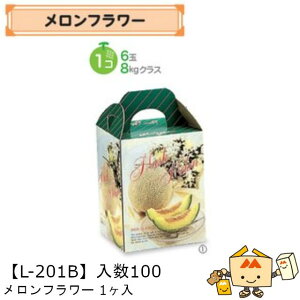 ylszt[c p t[1 iL-201B P[X̔ 100 TCY150×150×200mm  }jpbP[W }j  _{[ Г02000701