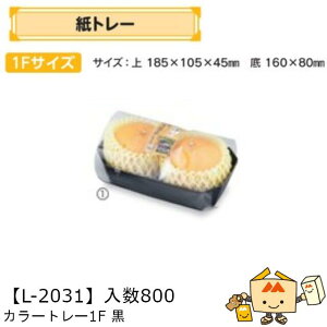 ylszt[c g[ J[g[1F iL-2031 P[X̔ 800 TCY185×105×45mm  }jpbP[W }j  _{[    ` ݂ IW 