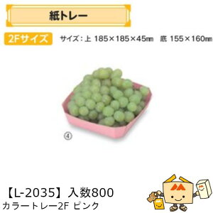 ylszt[c g[ J[g[2FsN iL-2035 P[X̔ 800 TCY185×185×45mm  }jpbP[W }j  _{[    ` ݂ IW 