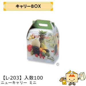 ylszt[c BOX L[BOX j[L[ ~j iL-203 P[X̔ 100 TCY210×165×205mm  }jpbP[W }j  _{[    ` Ԃǂ 