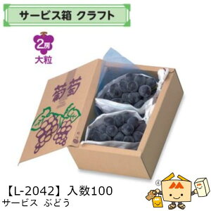 ylszt[c T[rXBOX Ntg Ԃǂ iL-2042 P[X̔ 100 TCY172×250×100mm  }jpbP[W }j  _{[ }S[ IW ` ь  oii 