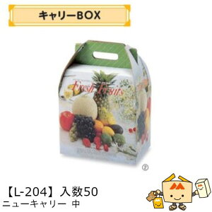 ylszt[c BOX L[BOX j[L[  iL-204 P[X̔ 50 TCY265×175×300mm  }jpbP[W }j  _{[    ` Ԃǂ }