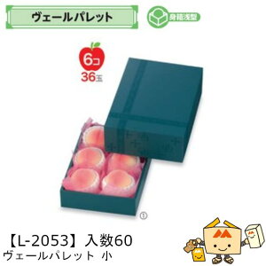 ylszt[c MtgBOX F[pbg  iL-2053 P[X̔ 60 TCY200×295×95(60)mm  }jpbP[W }j  _{[ t[clߍ킹 }S[ 