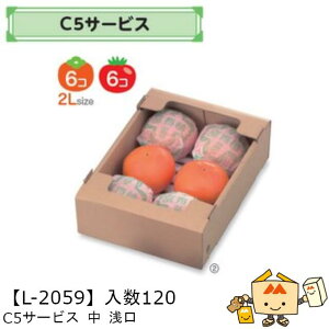 ylszt[c T[rXBOX Rei C5T[rX   iL-2059 P[X̔ 120 TCY200×280×75mm  }jpbP[W }j  _{[ }S[ IW ` 