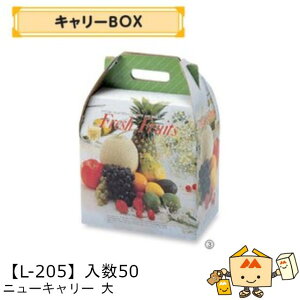 ylszt[c BOX L[BOX j[L[  iL-205 P[X̔ 50 TCY300×185×320mm  }jpbP[W }j  _{[    ` Ԃǂ }