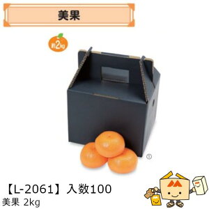 ylszt[c kp  2kg iL-2061 P[X̔ 100 TCY200×160×160(230)mm  }jpbP[W }j ݂ IW  _{[ Г02000701