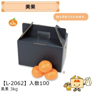 ylszt[c kp  3kg iL-2062 P[X̔ 100 TCY250×160×160(230)mm  }jpbP[W }j ݂ IW  _{[ Г02000701