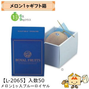 �y�l��s�z�t���[�c �������p ������1�����u���[���C���� �i��L-2065 �P�[�X�̔� ����50 �T�C�Y155×220×150mm �������� ���}�j�p�b�P�[�W ���}�j �� �_���{�[�� �Г�02000701