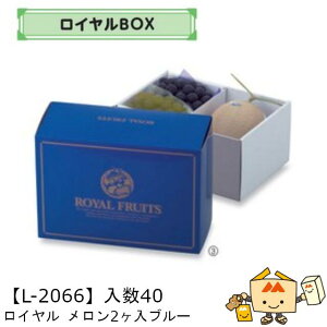 ylszt[c MtgBOX C 2u[ iL-2066 P[X̔ 40 TCY325×225×150mm  }jpbP[W }j  _{[  XCJ Ԃǂ  