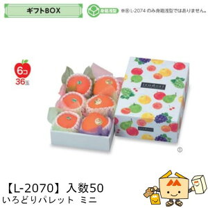 ylszt[c MtgBOX ǂpbg ~j iL-2070 P[X̔ 50 TCY180×270×95(60)mm  }jpbP[W }j  _{[ t[clߍ킹  