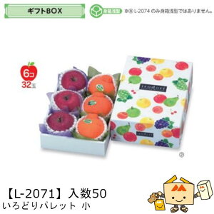ylszt[c MtgBOX ǂpbg  iL-2071 P[X̔ 50 TCY200×295×95(60)mm  }jpbP[W }j  _{[ t[clߍ킹  ь 
