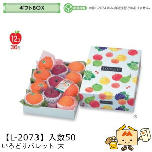 ylszt[c MtgBOX ǂpbg  iL-2073 P[X̔ 50 TCY270×380×105(60)mm  }jpbP[W }j  _{[ t[clߍ킹  ь 