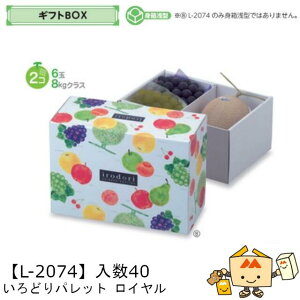 ylszt[c MtgBOX ǂpbg C iL-2074 P[X̔ 40 TCY325×225×150mm  }jpbP[W }j  _{[ t[clߍ킹  