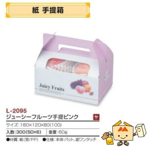 ylszt[c  W[V[t[csN iL-2095 P[X̔ 300 TCY180×120×80(100)mm  }jpbP[W }j     ` Ԃǂ }XJ